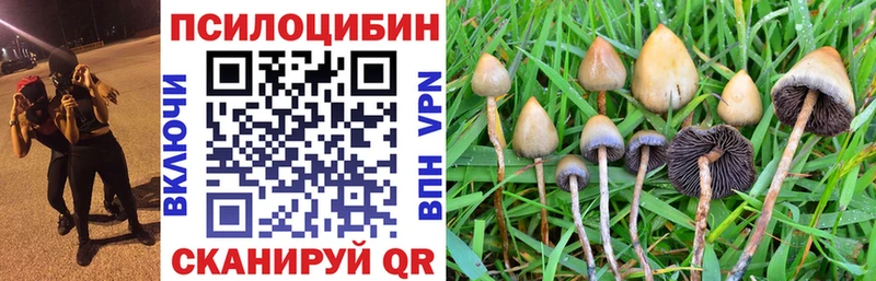 Псилоцибиновые грибы Cubensis  Купить закладки  Кондрово 
